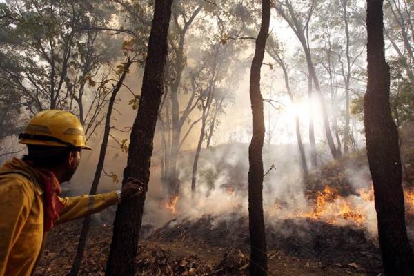 Fuera de control incendio en la Ciénega; al menos 100 hectáreas calcinadas