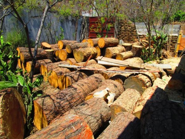 Clausura PROFEPA un centro de almacenamiento y transformación de