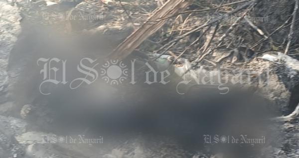 imagen 2 de Nota Roja || Avioneta siniestrada en La Yesca era una Cessna 206 EB-RNC