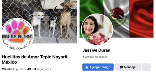 imagen 1 de Nota Roja || Clausuran refugio para perritos callejeros "Huellitas de Amor" en Tepic