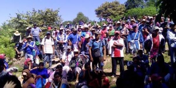 Entrega tribunal agrario a wixaritari de Jalisco 41 hectáreas en Nayarit