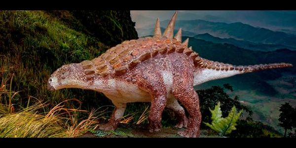 Descubren restos de dinosaurios de hace 70 millones de años en Coahuila -  El Sol de Nayarit