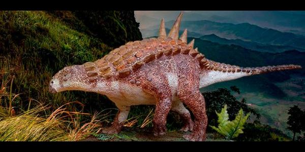 Descubren restos de dinosaurios de hace 70 millones de años en Coahuila - El Sol de Nayarit Descubren restos de dinosaurios de hace 70 millones de años en Coahuila - El Sol de Nayarit